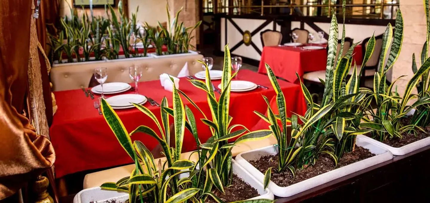 Ресторан «Свои люди» — здесь вас встречают как родных